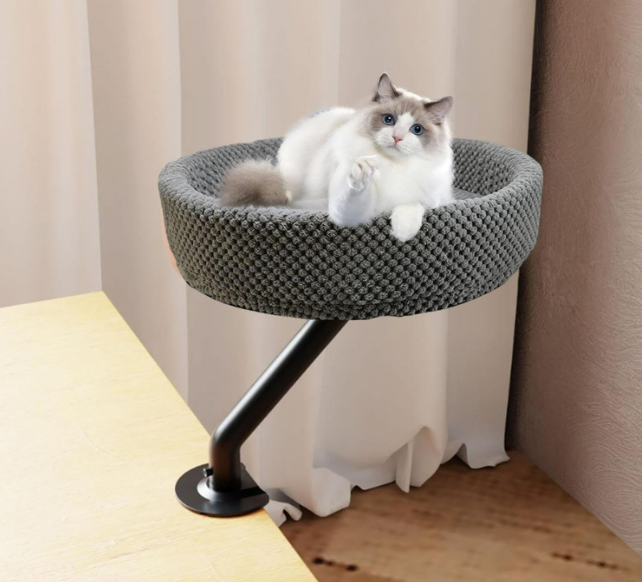 Shop Secondary Image